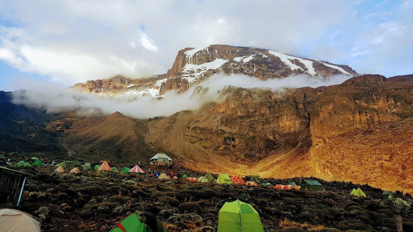 Image number 7 for Kilimanjaro Trek  Umbwe Route 6-day Trek 8day Tour