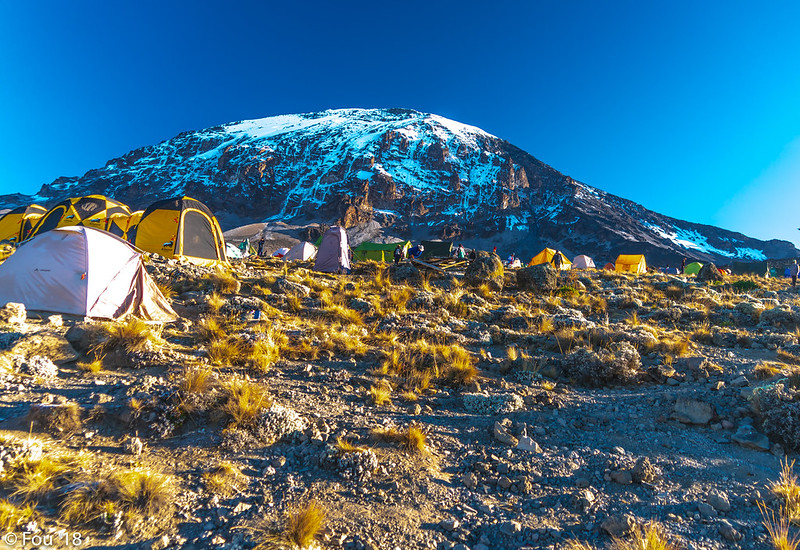 Image number 2 for Kilimanjaro Trek Lemosho Route 7day Trek 9day Tour