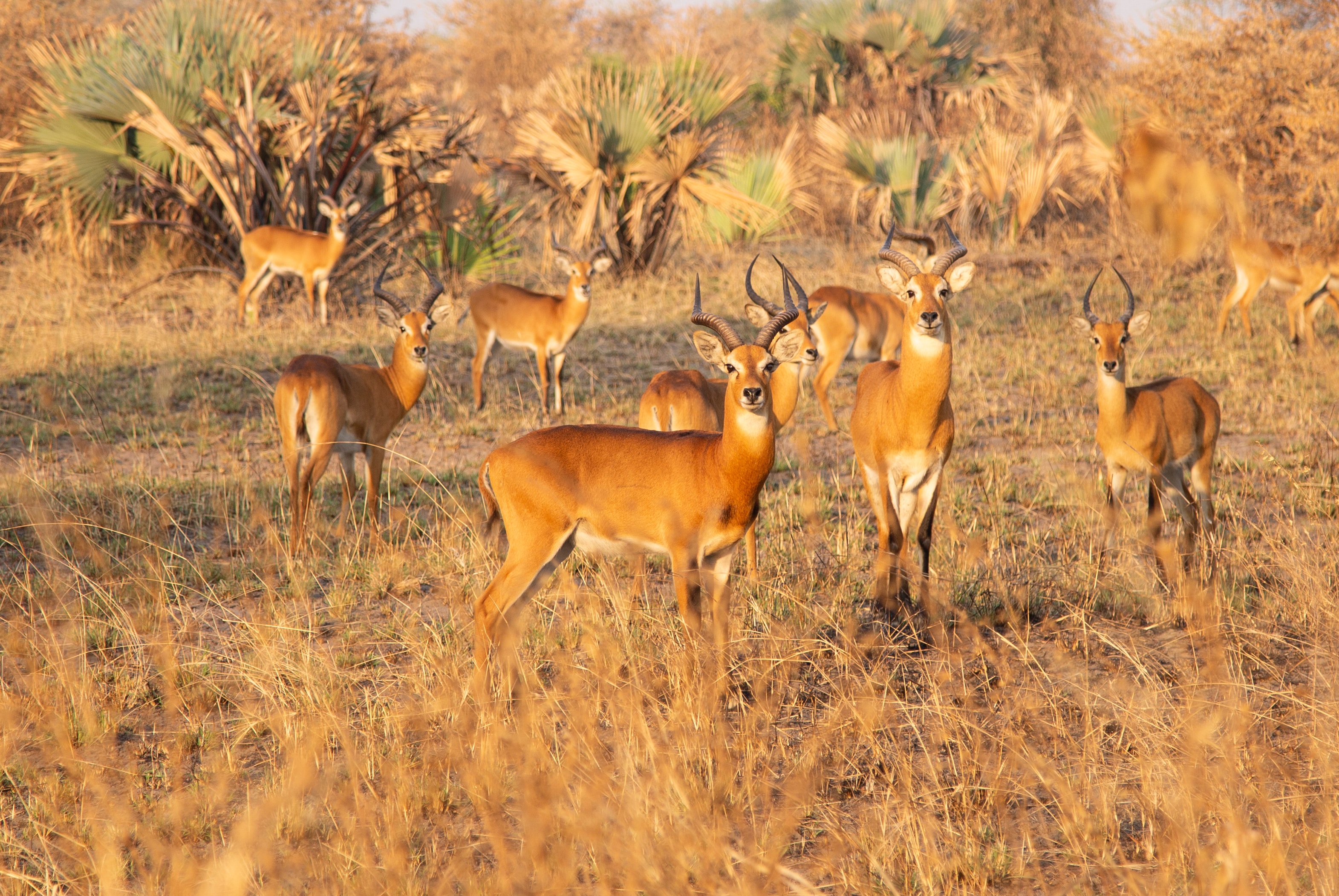 Image number 1 for 1 Day Trip To Ngorongoro National 