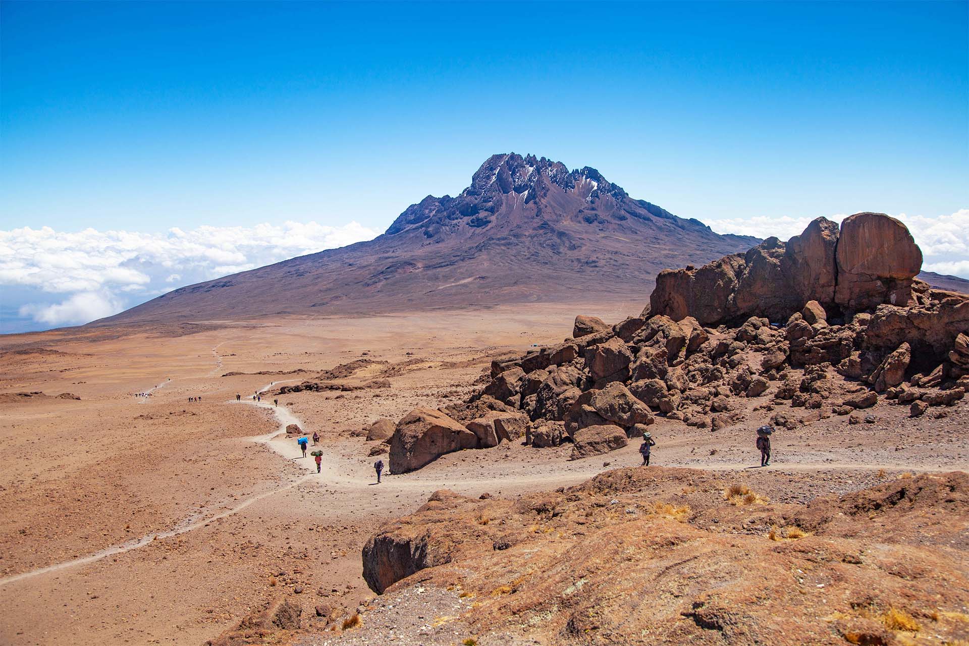 Image number 2 for Kilimanjaro Trek  Umbwe Route 6-day Trek 8day Tour