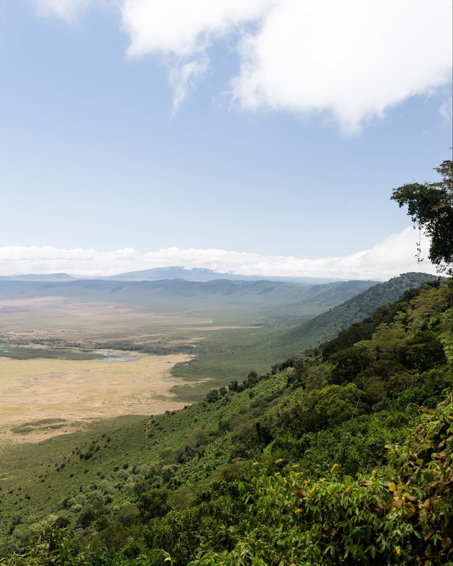 Image number 10 for 3 Day Serengeti & Ngorongoro Safari Group Camping