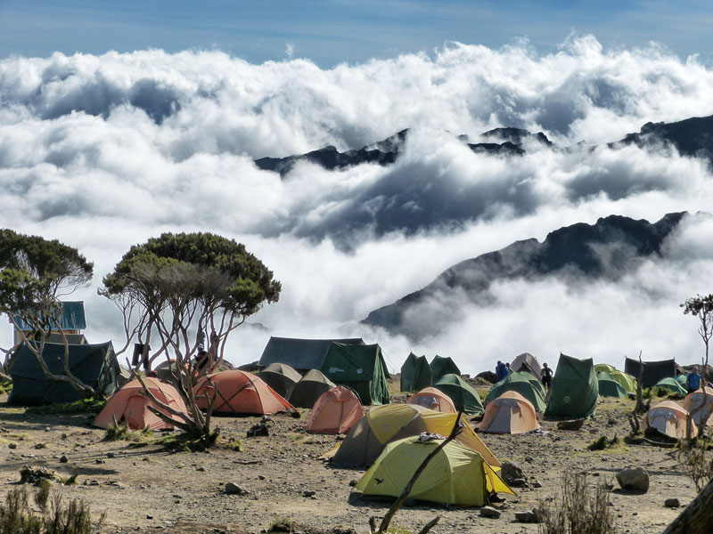 Image number 2 for  5 Days Kilimanjaro Marangu Route