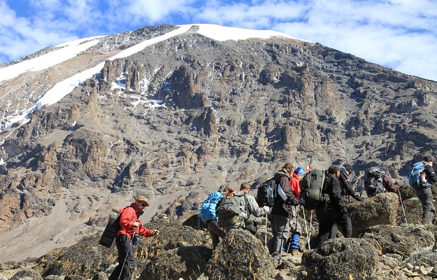 Image number 6 for Kilimanjaro Trek Lemosho Route 6day Trek 8day Tour