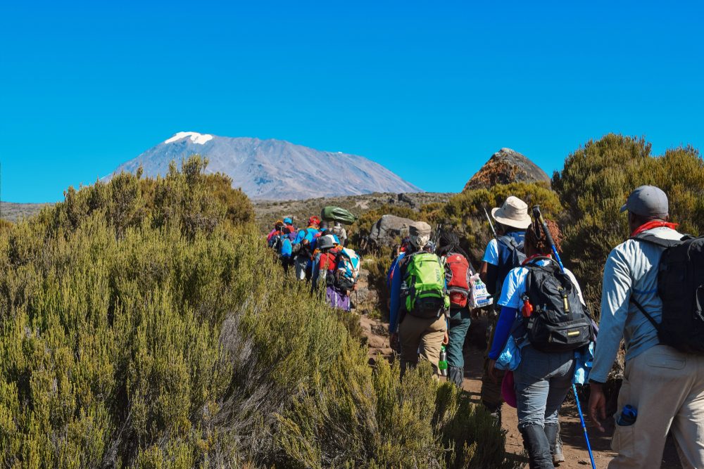 Image number 1 for Kilimanjaro Climbing Via Lemosho Route - 8 Days