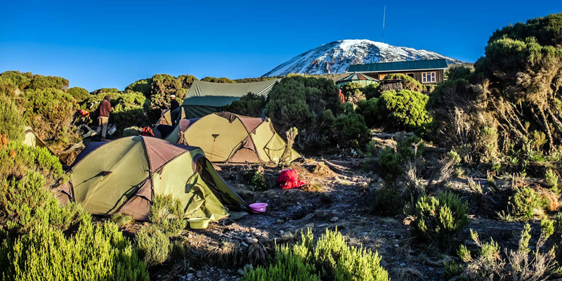 Image number 5 for Kilimanjaro Trak Machame Route 7day Trek 9day Tour