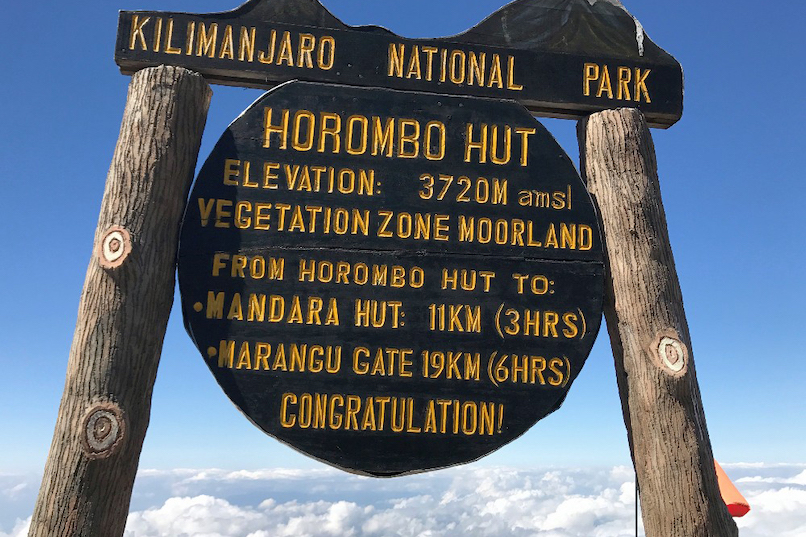 Image number 4 for Kilimanjaro Trek Marangu Route 6day Trek 8day Tour