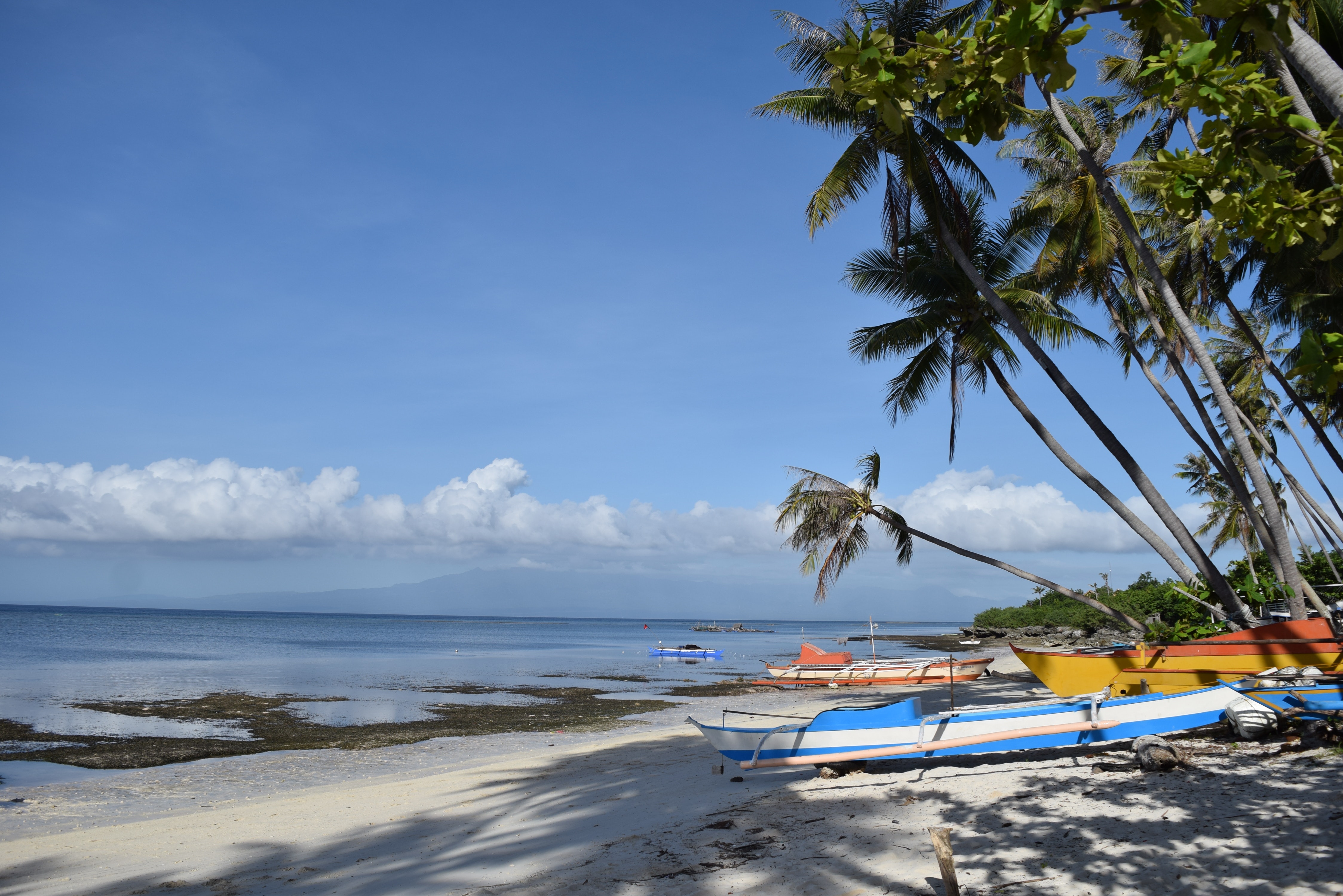 Image number 2 for 5 Days Zanzibar Beach Resort 