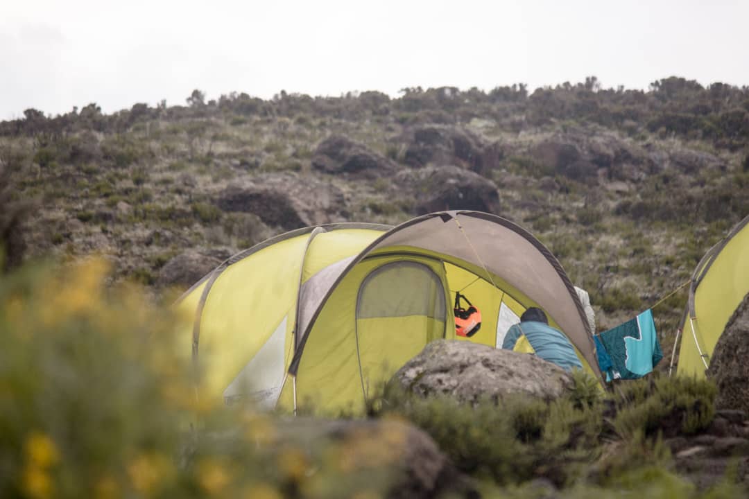 Image number 1 for Kilimanjaro Climbing 7 Days Machame Route