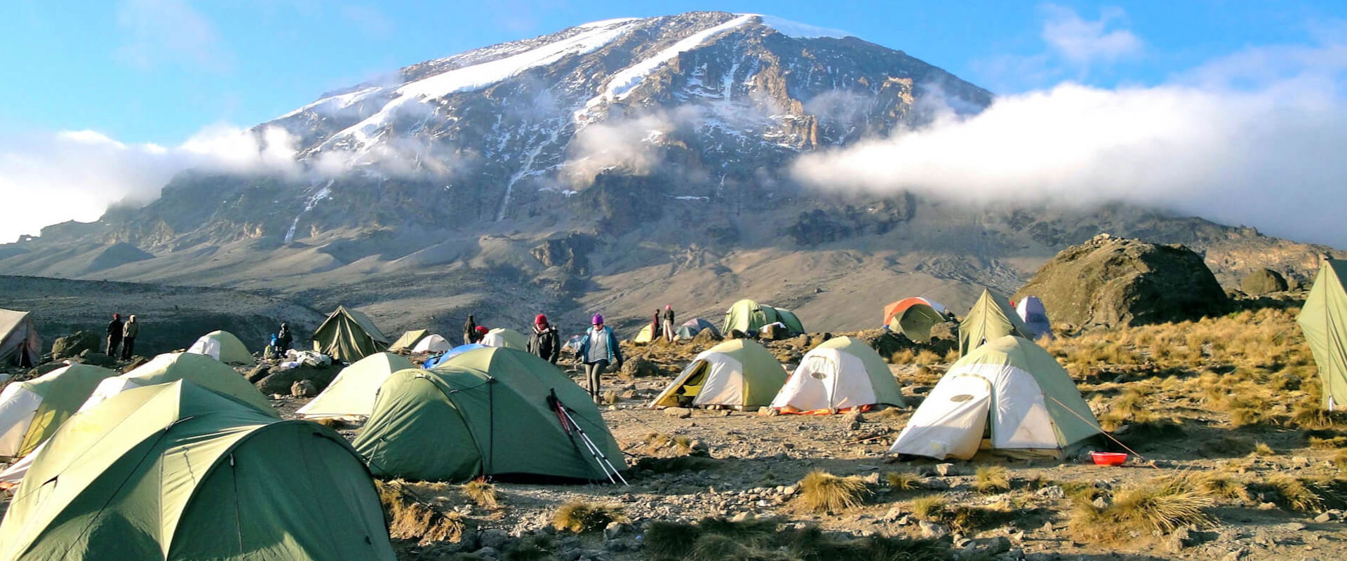 Image number 6 for Kilimanjaro Trek Lemosho Route 7day Trek 9day Tour