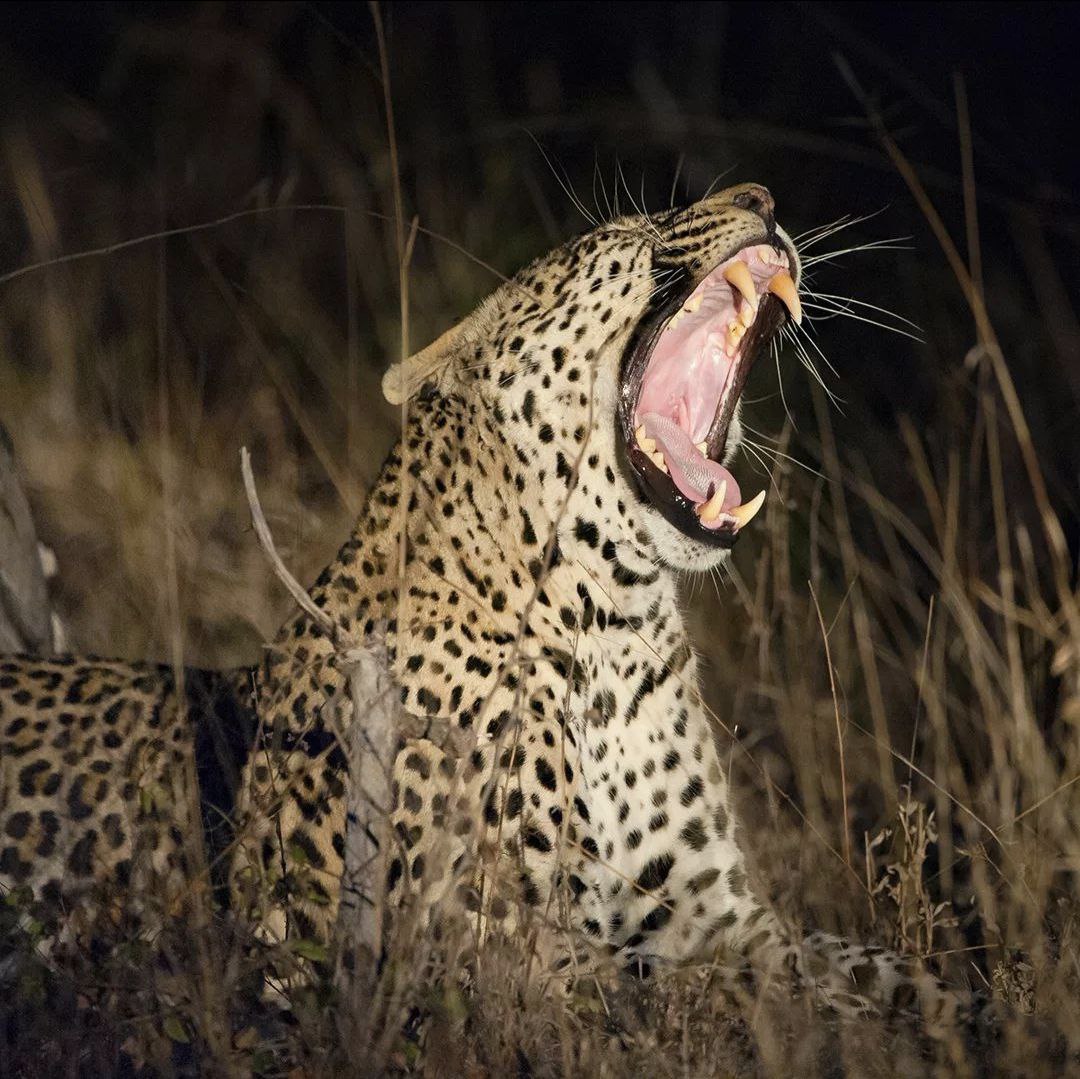 Image number 2 for 2 Days Tarangire And Lake Manyara Tour 