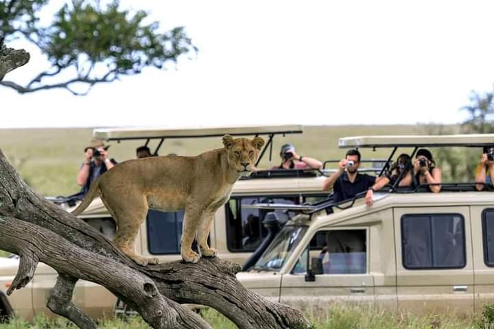 Image number 2 for Explore Buffalo Springs, Samburu & Ol Pejeta Tour