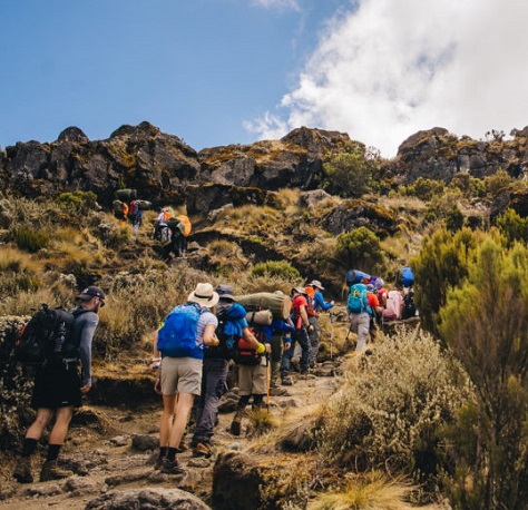 Image number 2 for 7-day Kilimanjaro Climb Machame Route