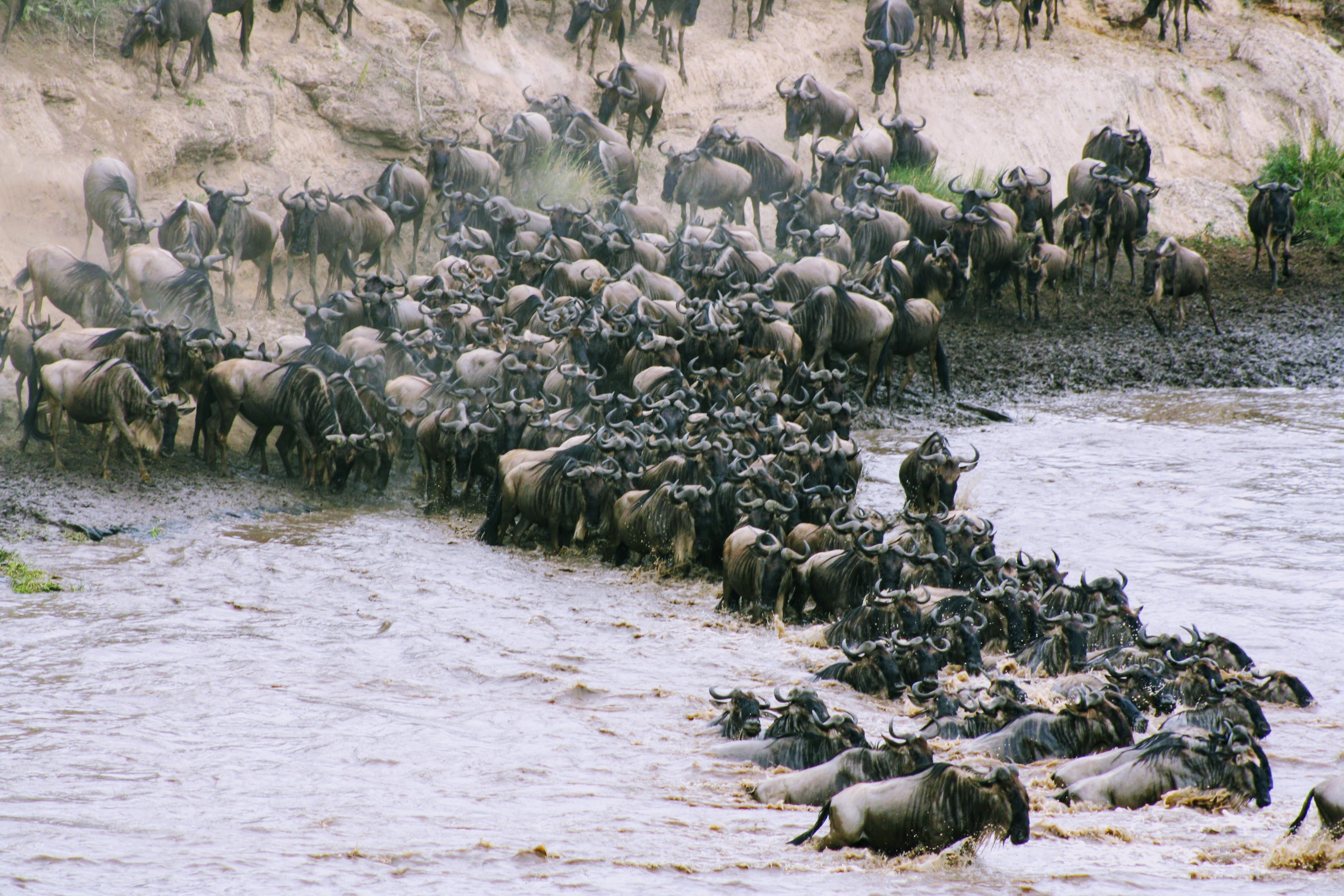 Image number 1 for 2 Days Mid Range Lodge Tanzania Safari