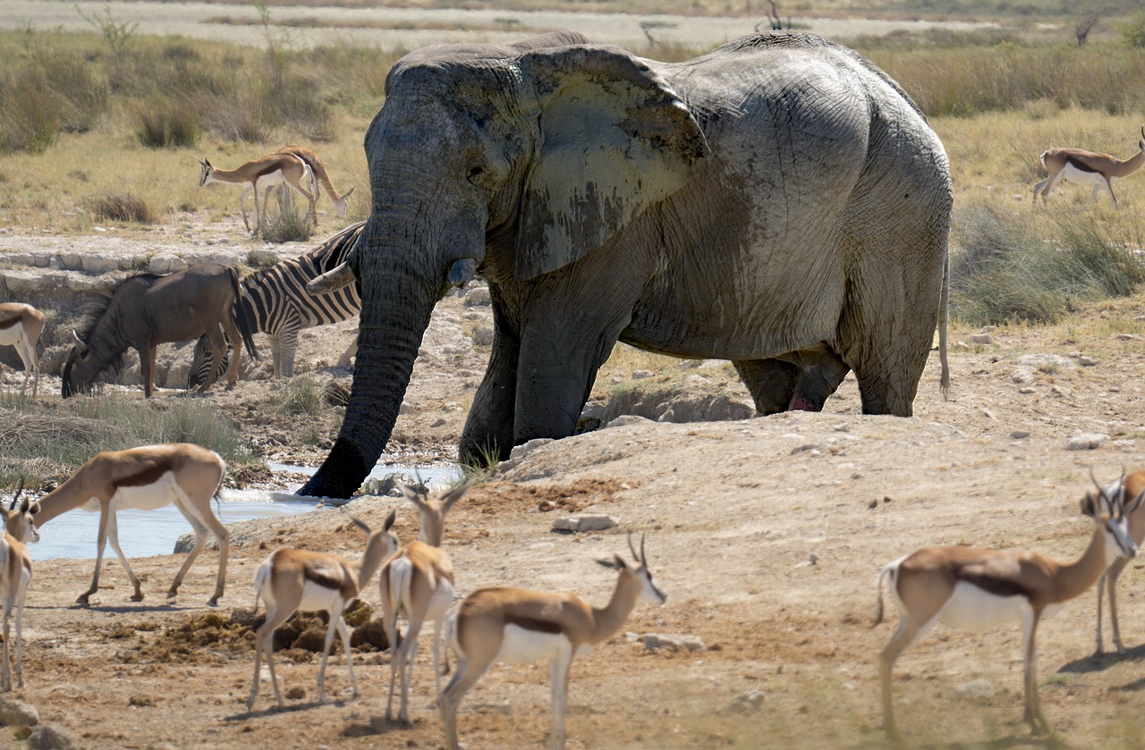 Image number 4 for 2-day Tanzania Short Safari