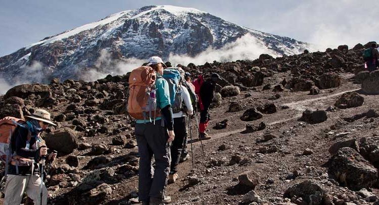 Image number 6 for Kilimanjaro Trek Machame Route 6day Trek 8day Tour