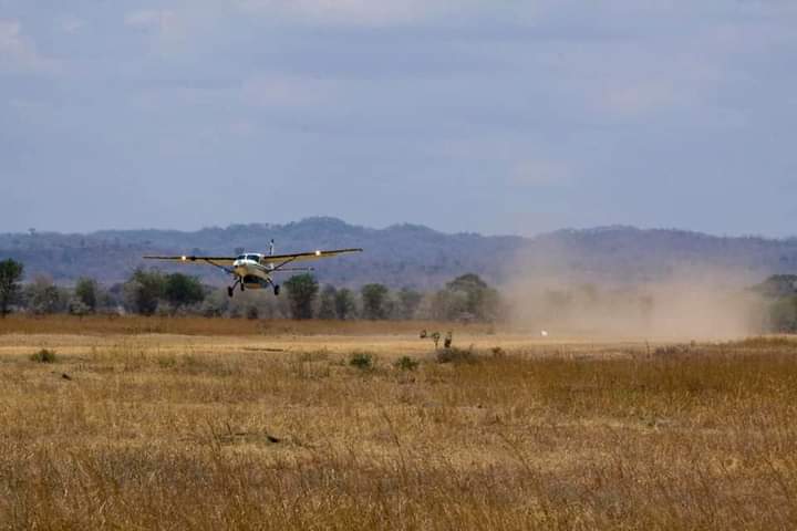 Image number 1 for 3 Days Fly In Safari To Ruaha National Park