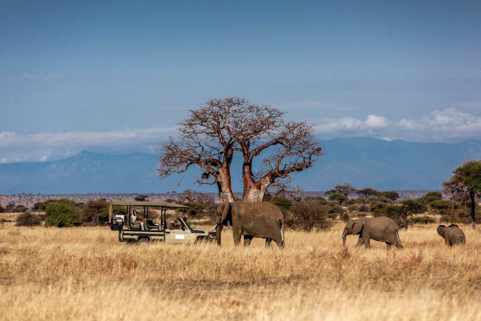 Image number 7 for Luxury In The Wild: 4 Days In Nakuru & Masai Mara