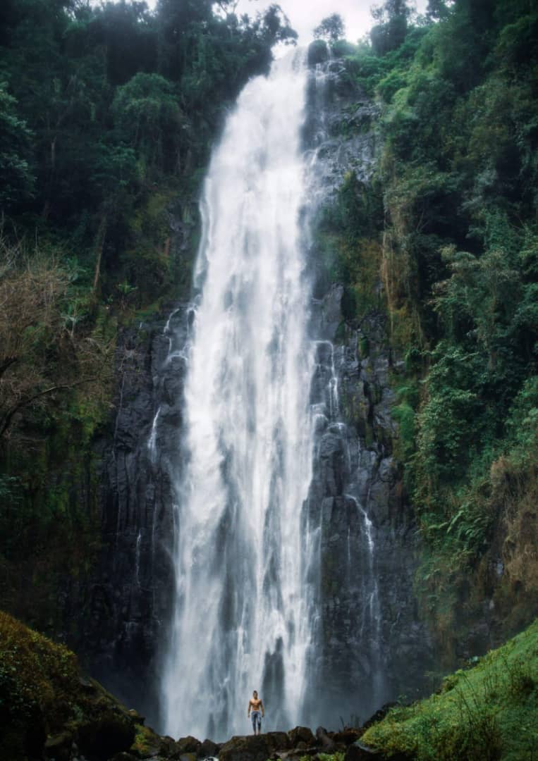 Image number 2 for Marangu Waterfalls Day Trip