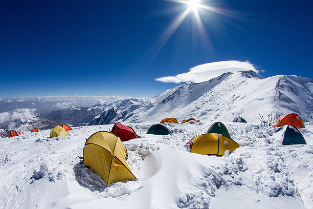 Image number 1 for Ascenso Al Monte Kilimanjaro Por La Ruta Lemosho