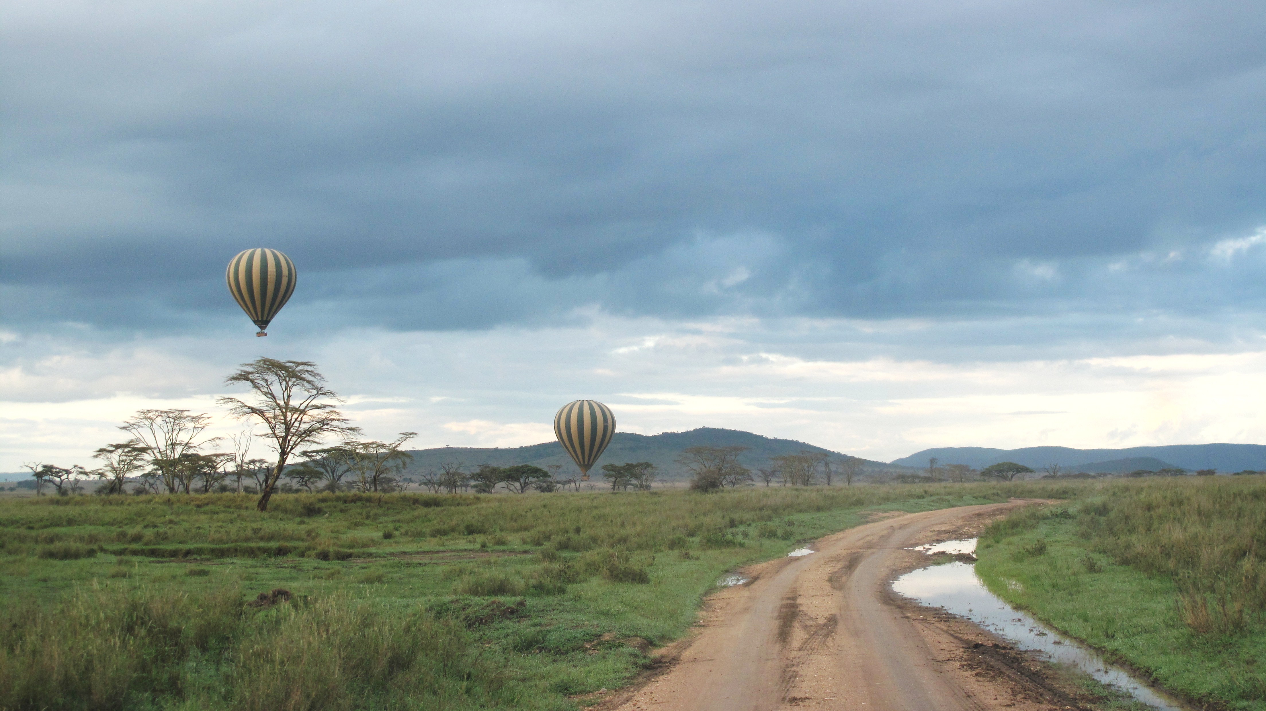 Image number 2 for 4 Days Tanzania Safari