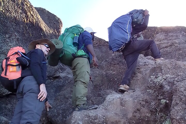 Image number 4 for 9 Days Kilimanjaro Lemosho Route