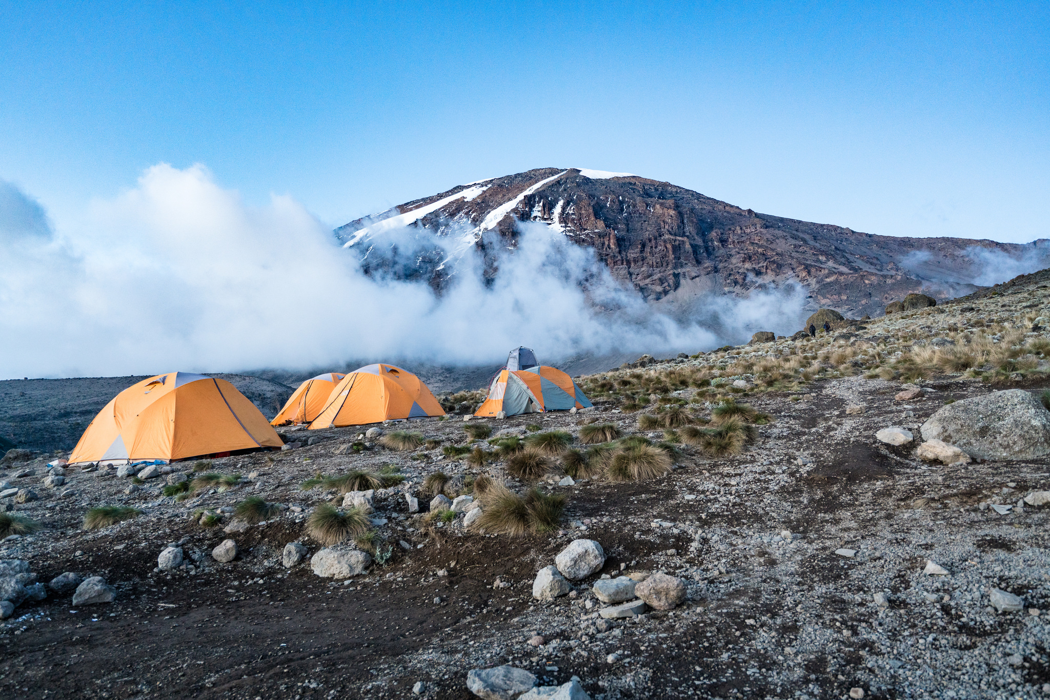 Image number 2 for  7 Days Kilimanjaro Machame Route