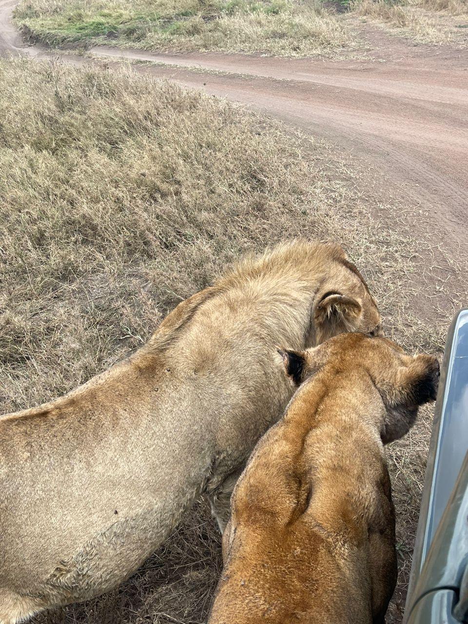 Image number 1 for Tanzania Camping Safari