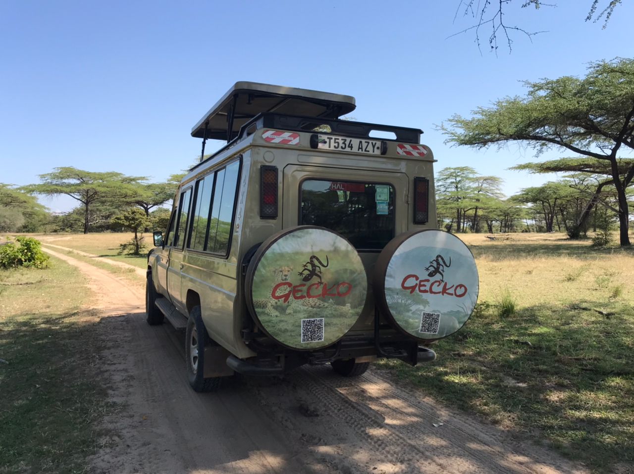 Image number 1 for Day Trip To Mikumi National Park From Dar