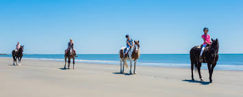 Image number 4 for Horse Riding Half-day Tour