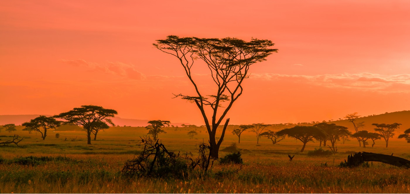 Image number 3 for 4 Days Serengeti National Park 