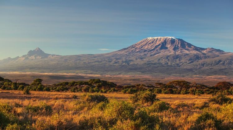 Image number 2 for  7 Days Lemosho Route Kilimanjaro 