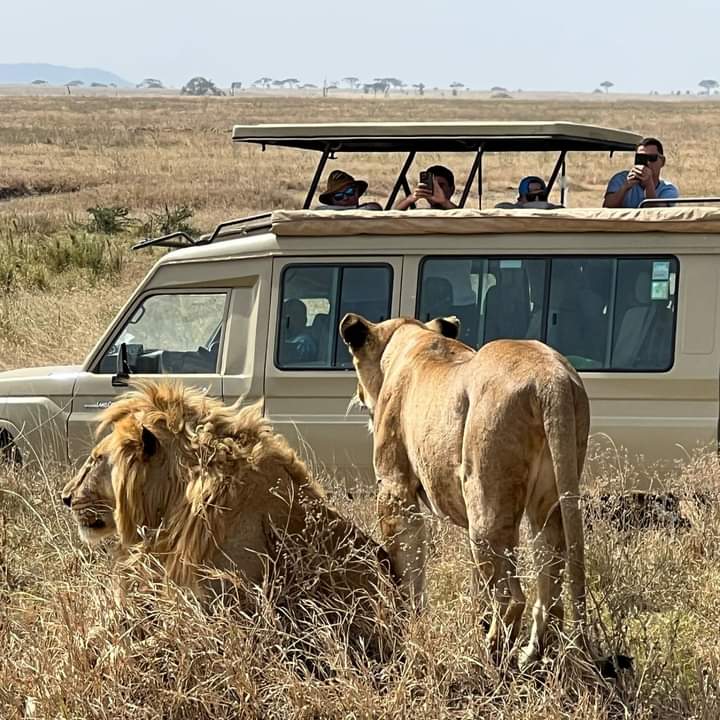 Image number 5 for Wildlife Wonderland: 2-day Ol Pejeta Safari Tour