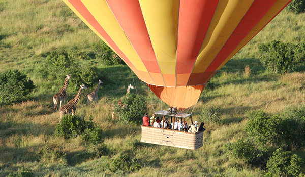 Image number 9 for Wildebeest Migration