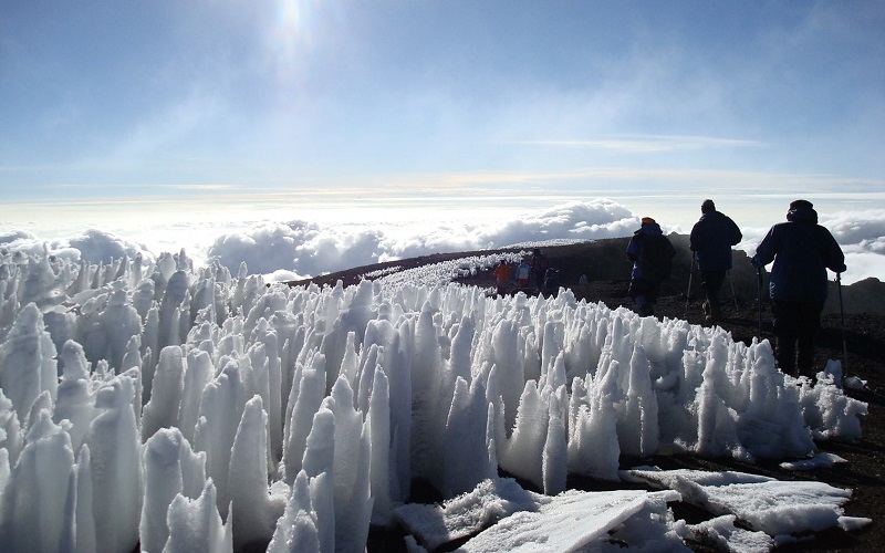 Image number 2 for 7 Days Machame Route Kilimanjaro Climbing 