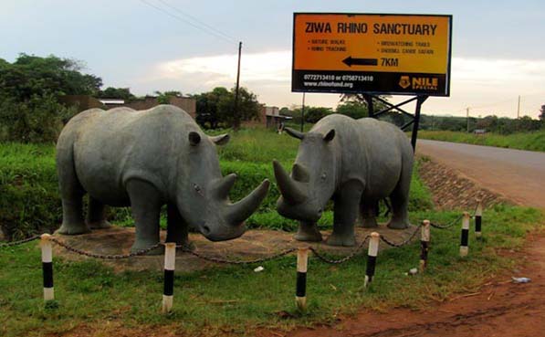 Image number 3 for Ziwa Rhino Tracking