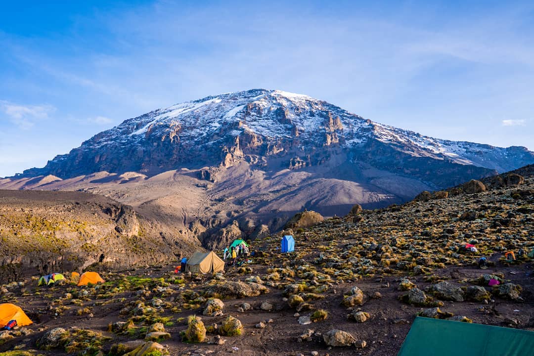 Image number 2 for Combo Tour (kilimanjaro Climb & Safari)