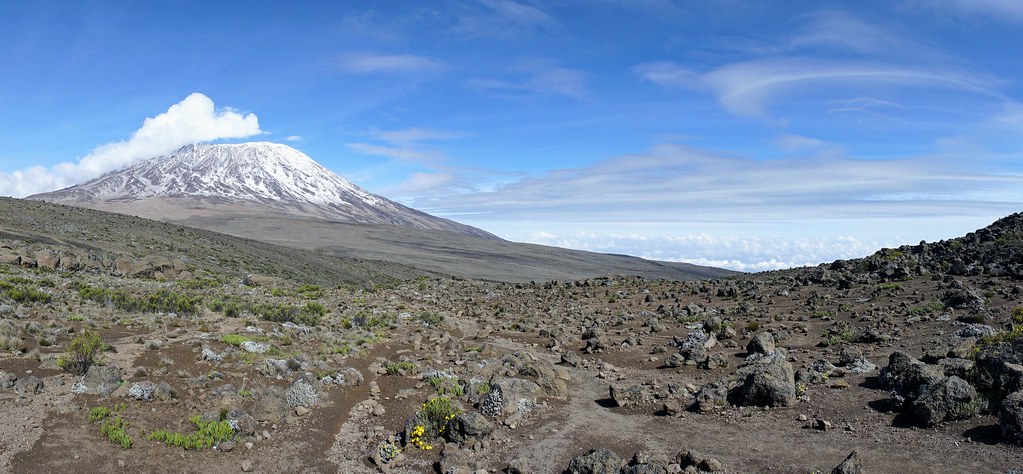 Image number 1 for 6 Days Machame Route Climbing 