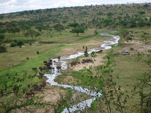 Image number 1 for Climbing-safaris-beach