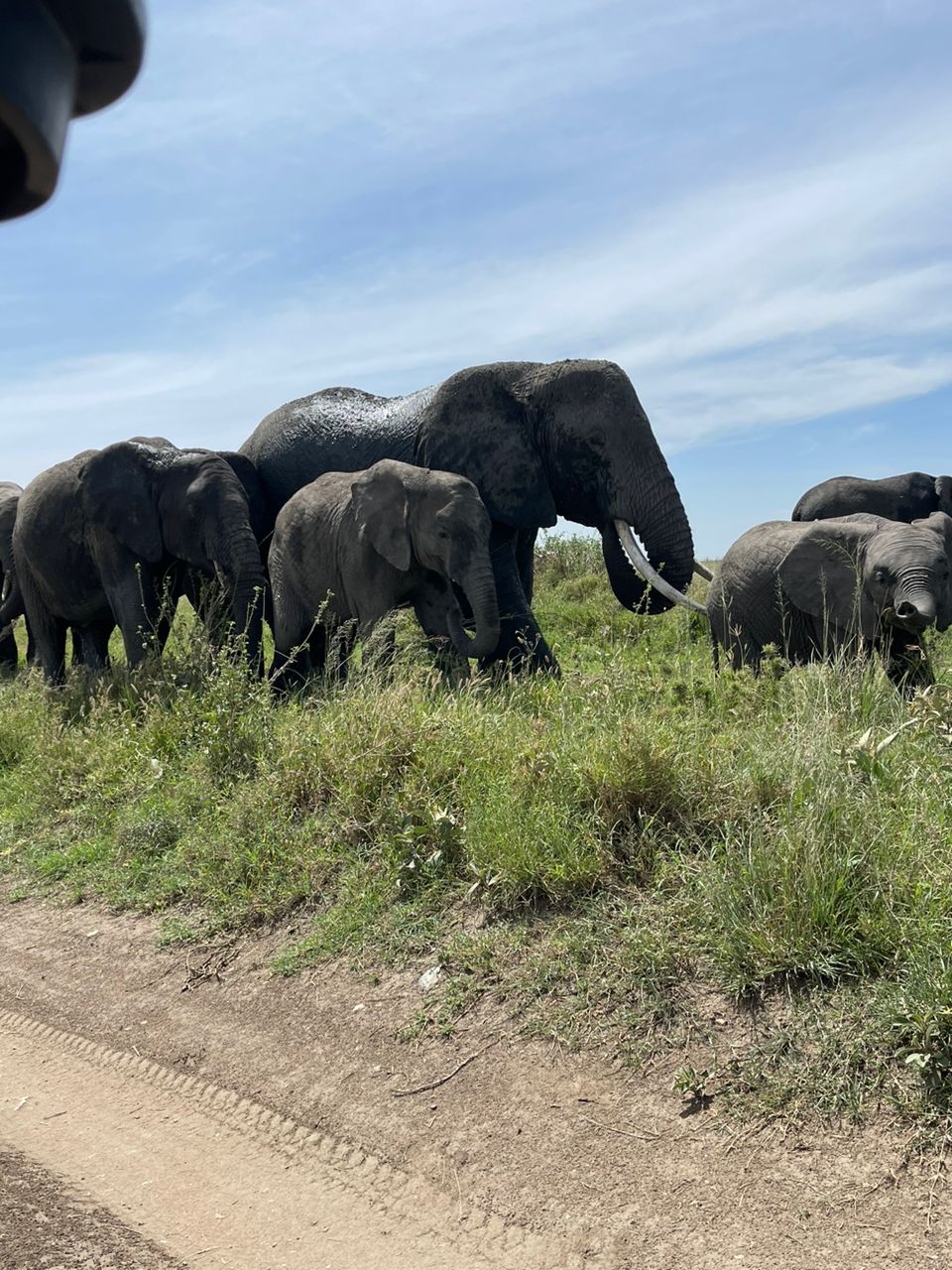 Image number 4 for Tanzania Camping Safari