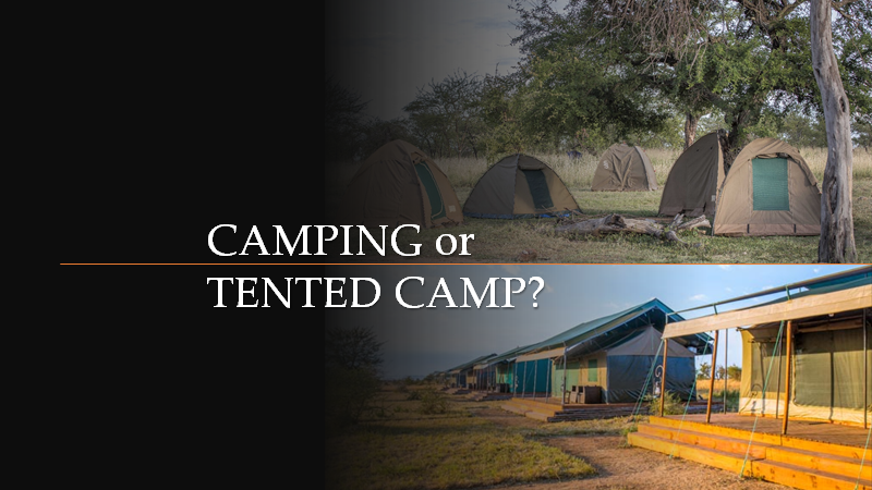 Image number 7 for  6 Days Tanzania Camping Safari