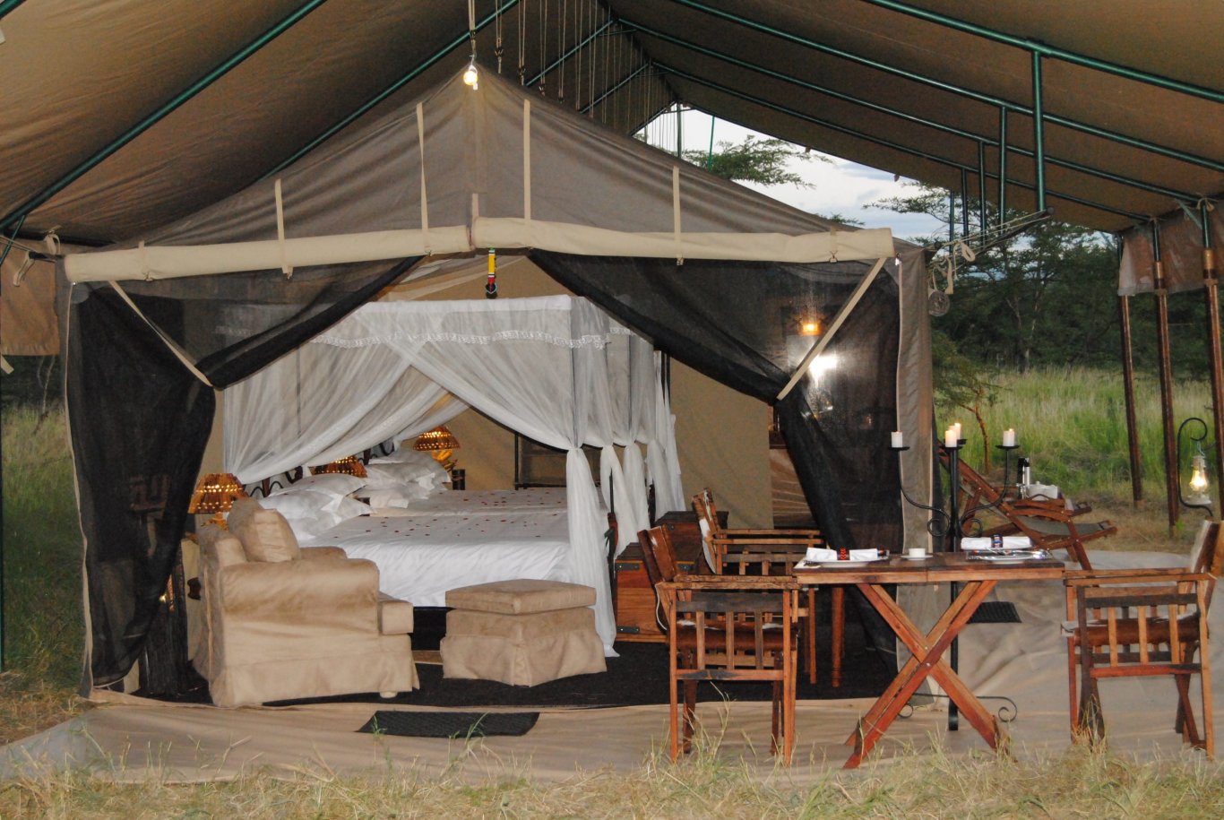 Image number 3 for 6 Days Serengeti Tented Camps Safari