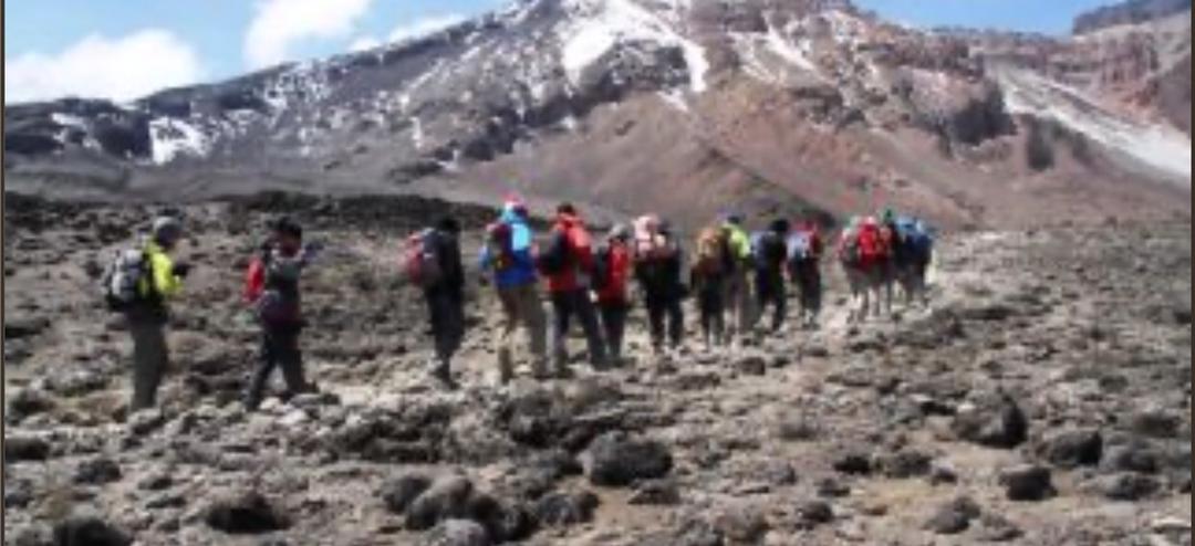 Image number 3 for Seven Days Scenic Machame Route