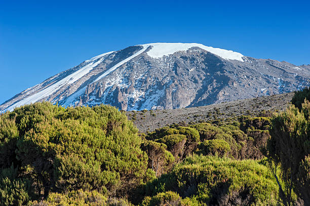 Image number 2 for Lemosho Route   - Kilimanjaro