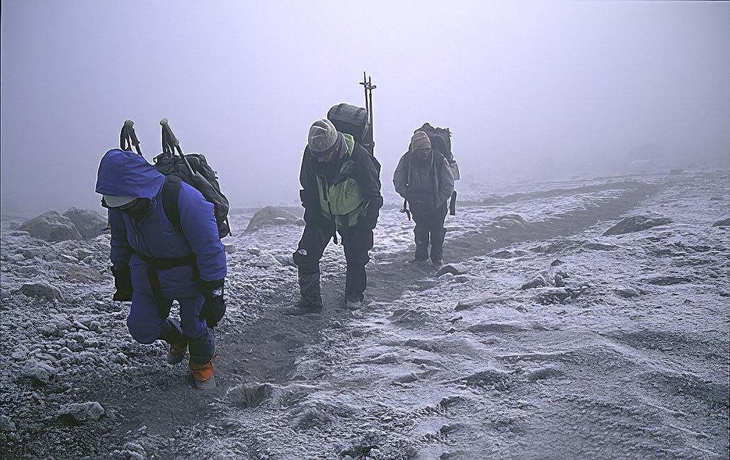 Image number 2 for Kilimanjaro Via Rongai Route 6-days Trek 8day Tour