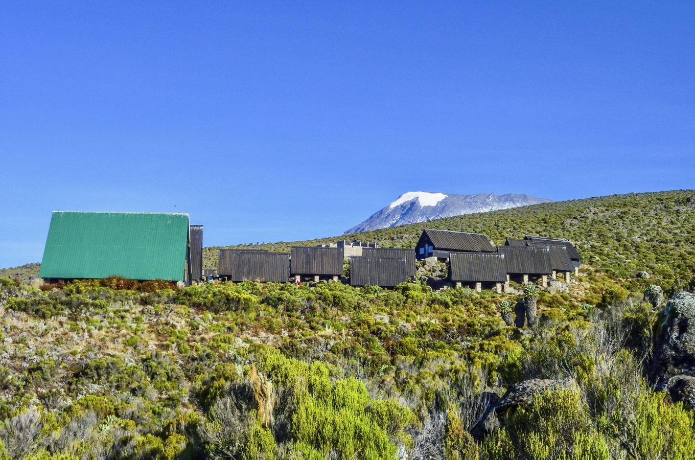 Image number 5 for Kilimanjaro Trek Marangu Route 6day Trek 8day Tour