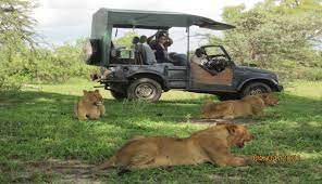 Image number 1 for 3-days Mikumi National Park Adventure