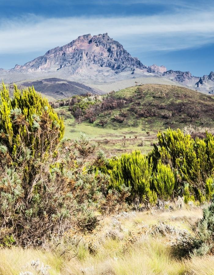 Image number 7 for Kilimanjaro Via Rongai Route 6-days Trek 8day Tour