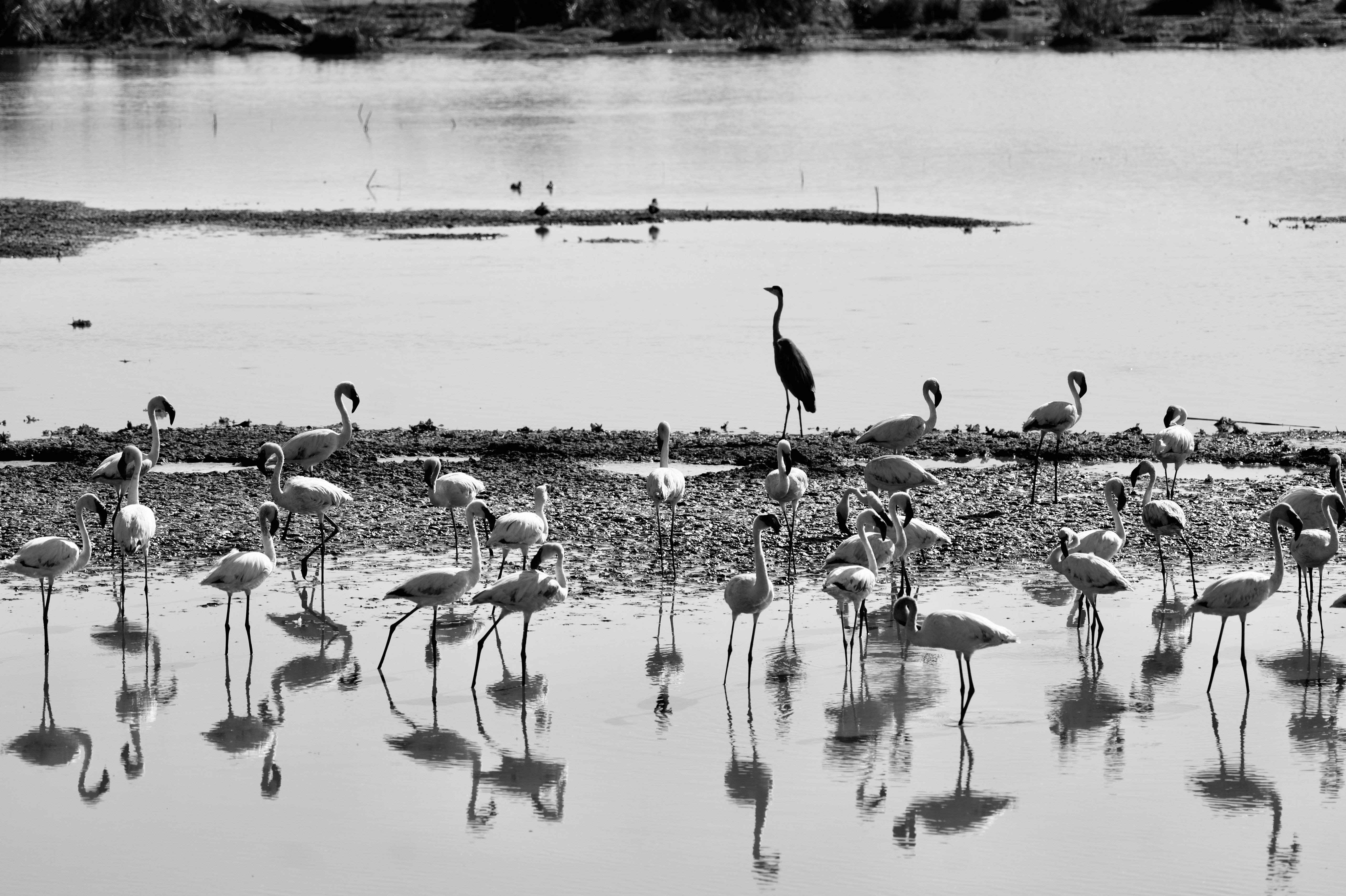 Image number 3 for Day Trip - Lake Chala Tour 