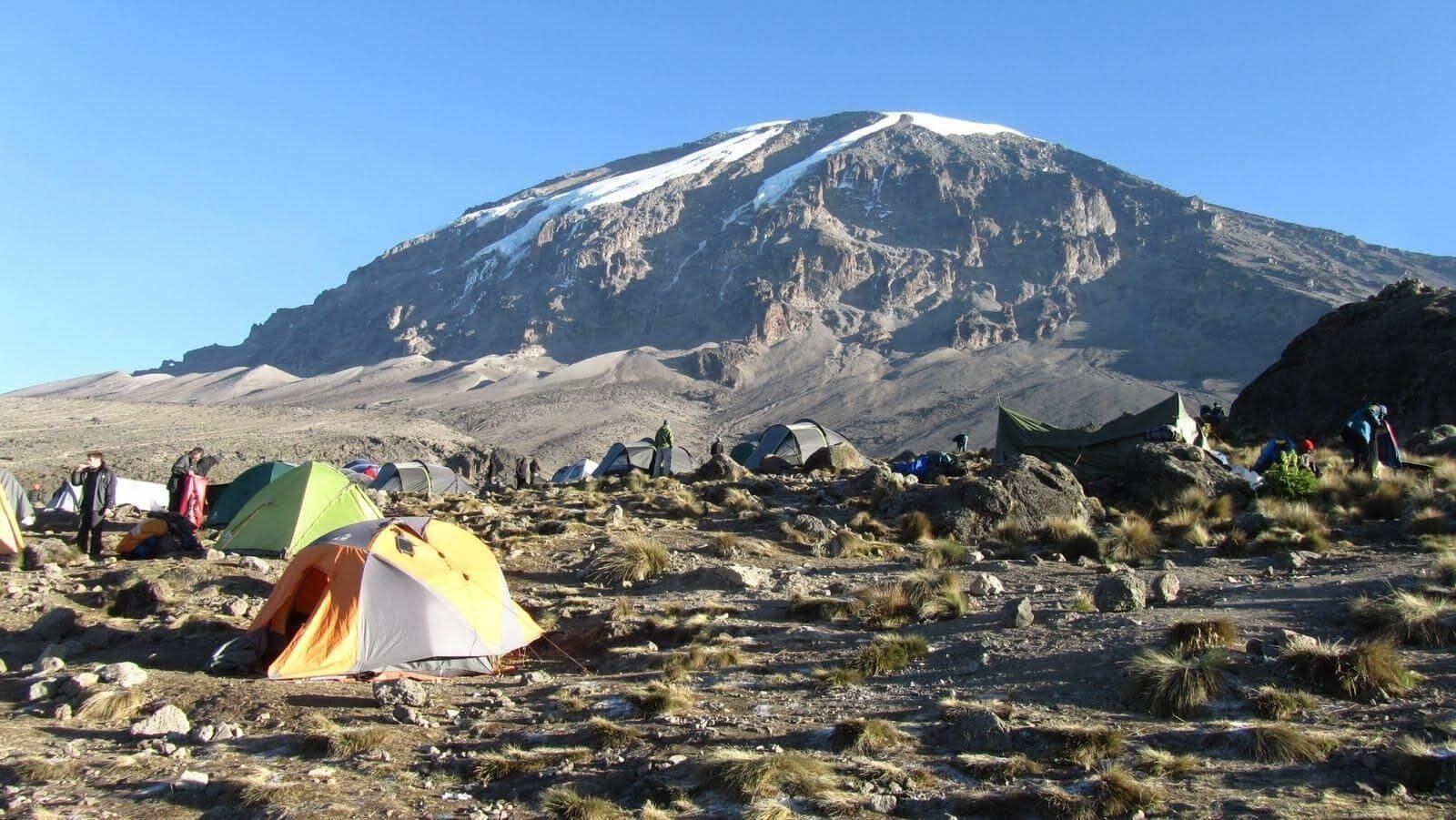 Image number 8 for Kilimanjaro Trek  Umbwe Route 6-day Trek 8day Tour