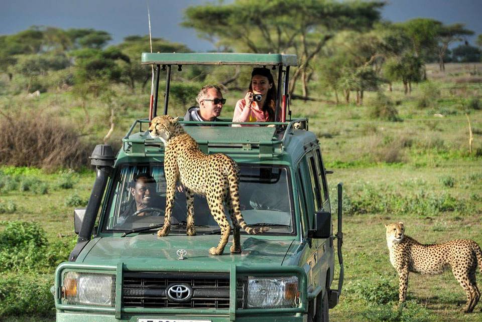 Image number 4 for 2 Days Safari In Tanzania